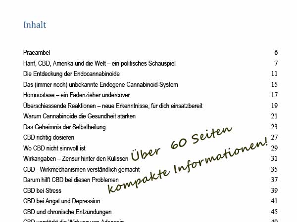Buchinhalt Übersicht